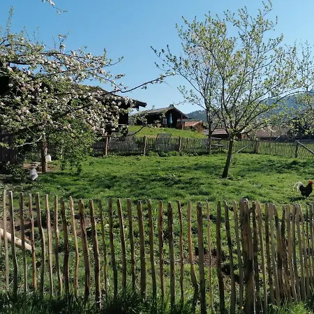 Gospodarstwo agroturystyczne Matheishof Inkl. Chiemgaukarte Ruhpolding