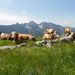 Matheishof Inkl. Chiemgaukarte Farmház