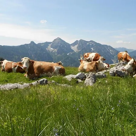 Matheishof Bauernhof