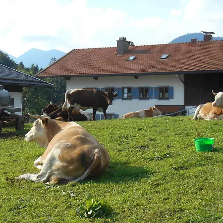Bauernhof Matheishof Ruhpolding
