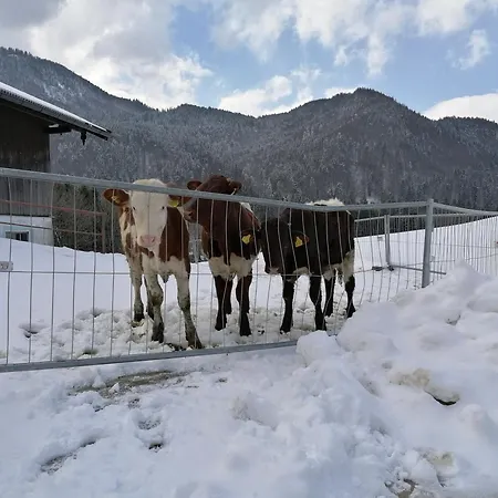 Matheishof Bauernhof Ruhpolding